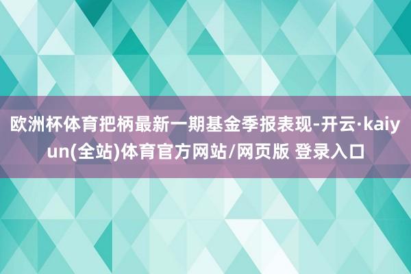 欧洲杯体育把柄最新一期基金季报表现-开云·kaiyun(全站)体育官方网站/网页版 登录入口