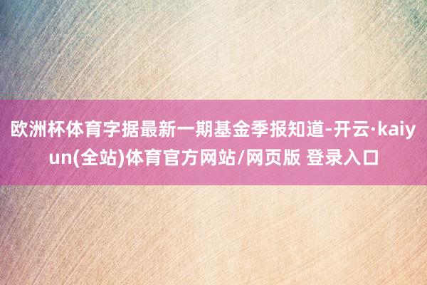 欧洲杯体育字据最新一期基金季报知道-开云·kaiyun(全站)体育官方网站/网页版 登录入口