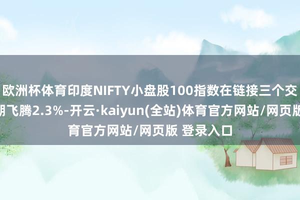 欧洲杯体育印度NIFTY小盘股100指数在链接三个交游日下逾期飞腾2.3%-开云·kaiyun(全站)体育官方网站/网页版 登录入口